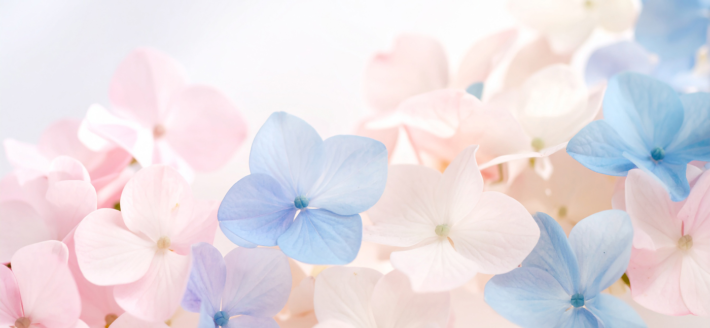 ウェルビーイングキャリア| Position Design | 東京